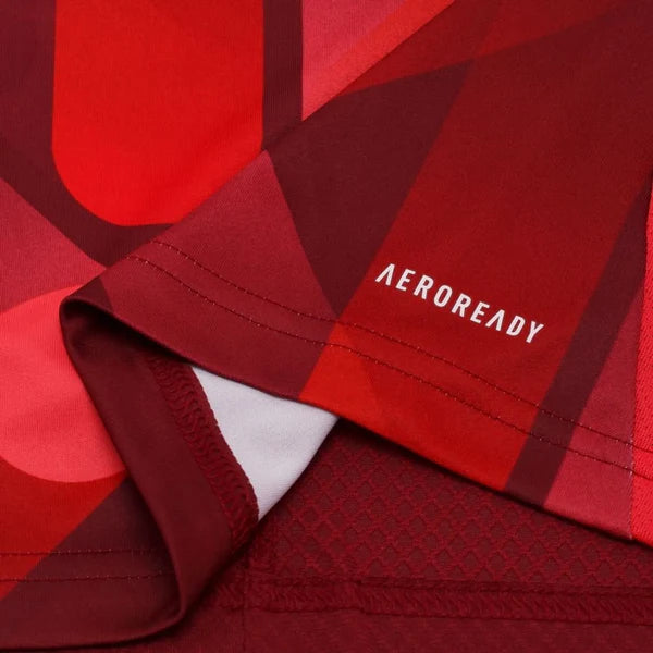 Maillot Allemagne ext 2025