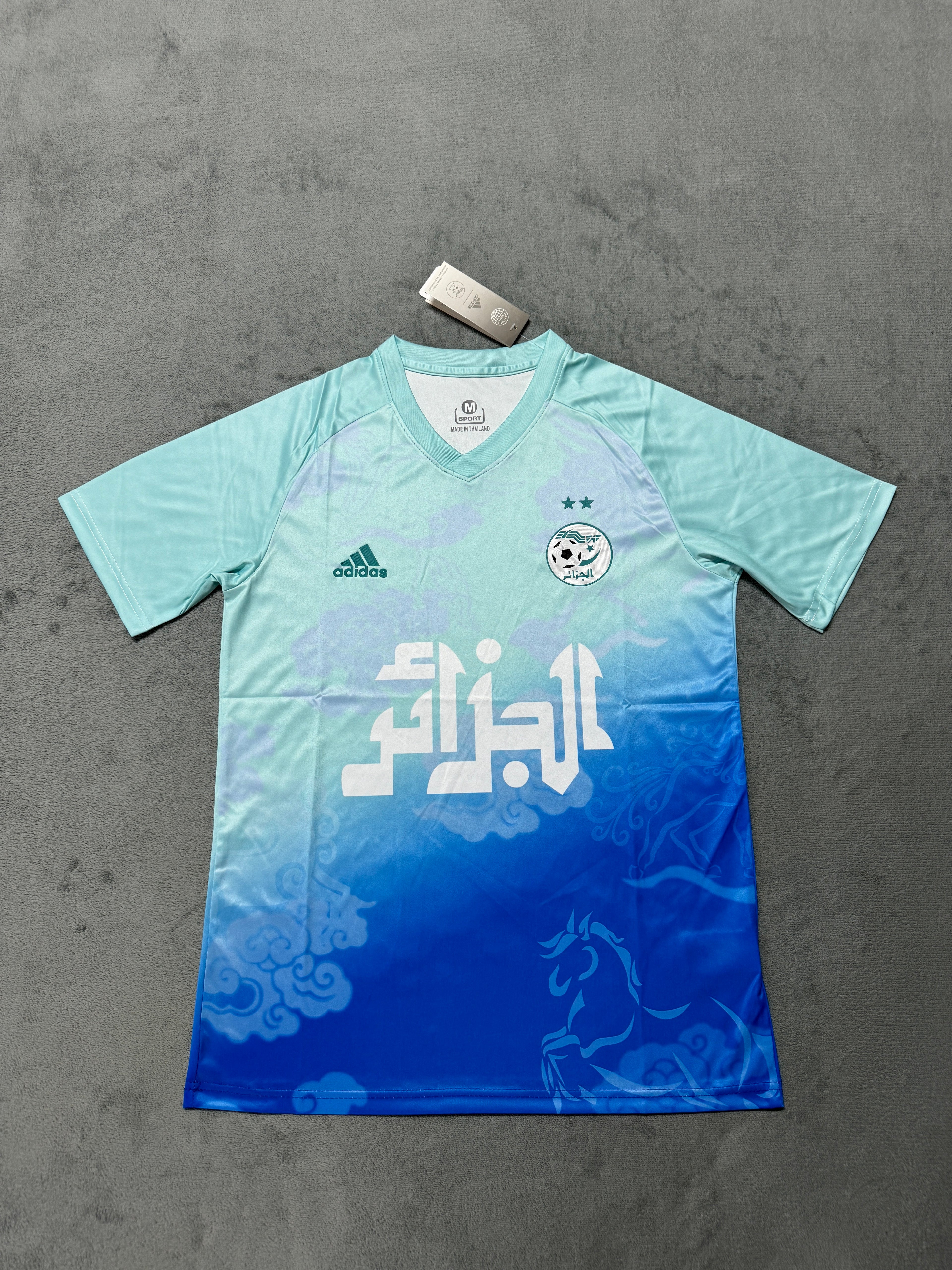 Maillot Concept Algérie 25/26 Bleu